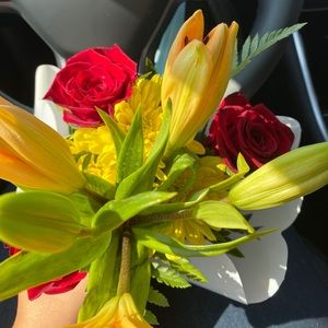 Meet your Posher, Karla